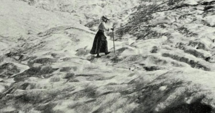 The Girl in the Snow
